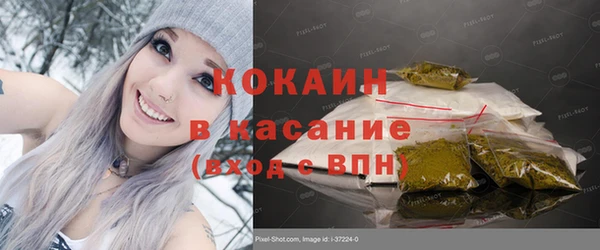 мдпв Богородск