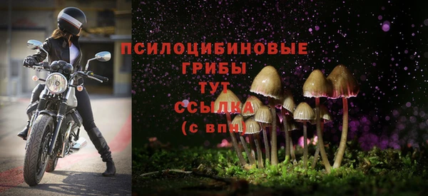 скорость Бугульма