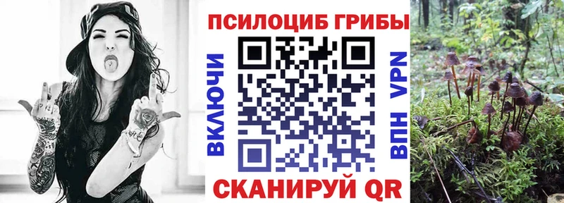 Псилоцибиновые грибы Magic Shrooms  MEGA зеркало  Ставрополь 